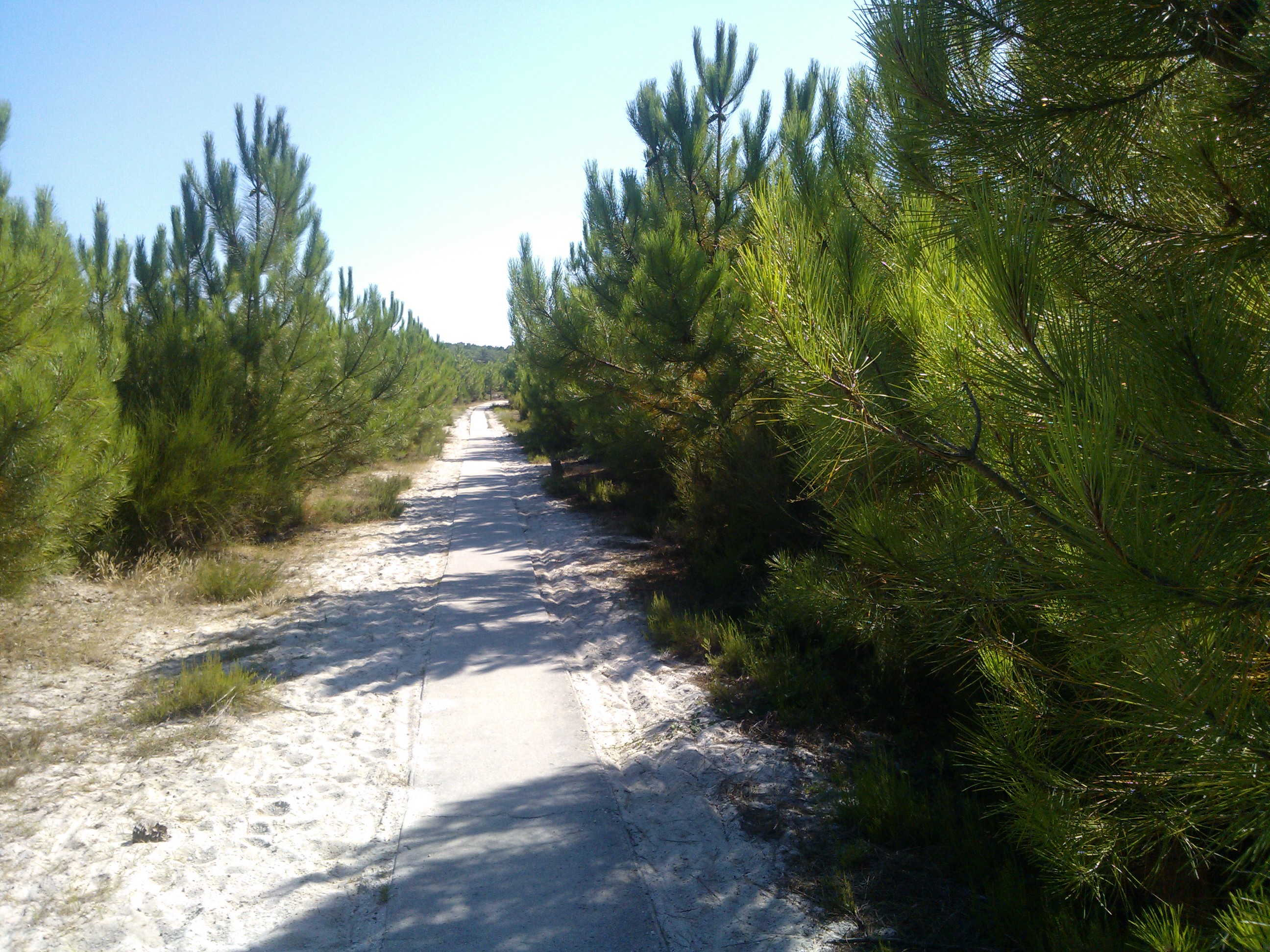 Maubuisson en septembre