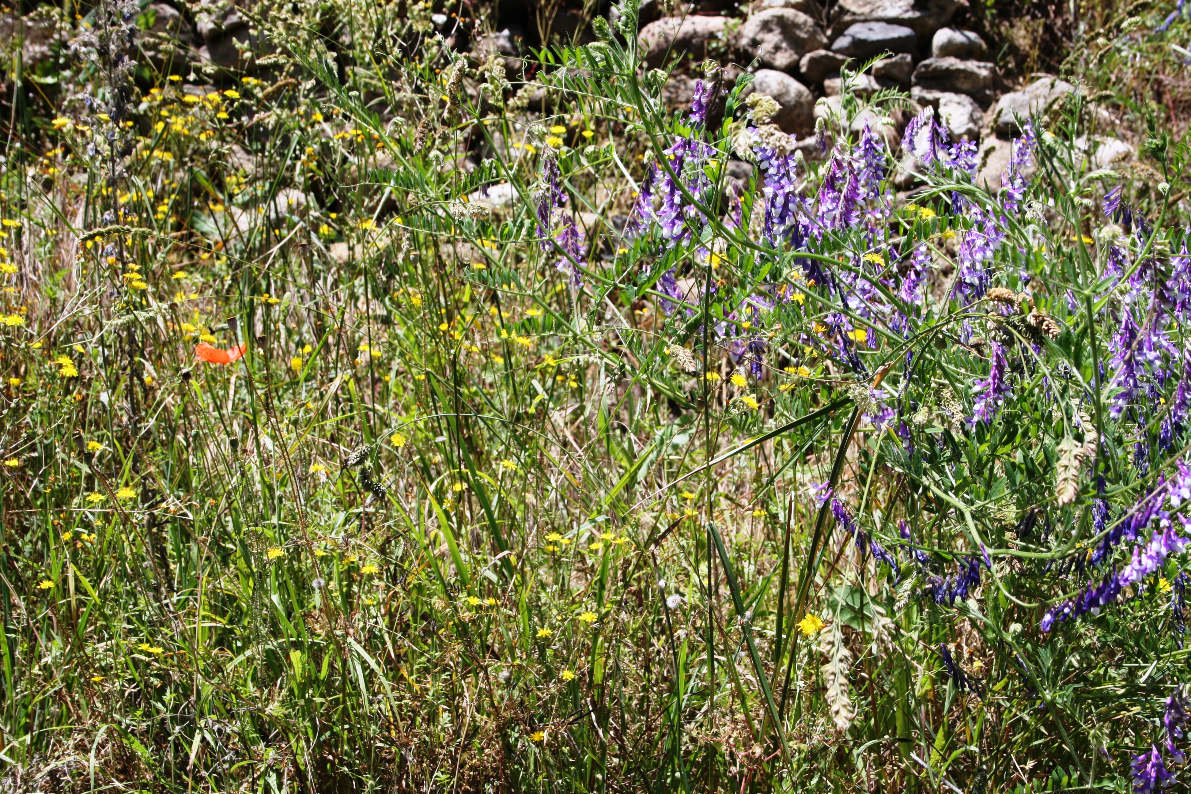 Weekend en Ardèche