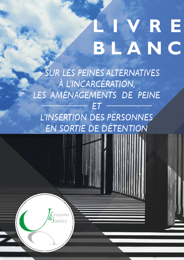 Les peines alternatives à l’incarcération