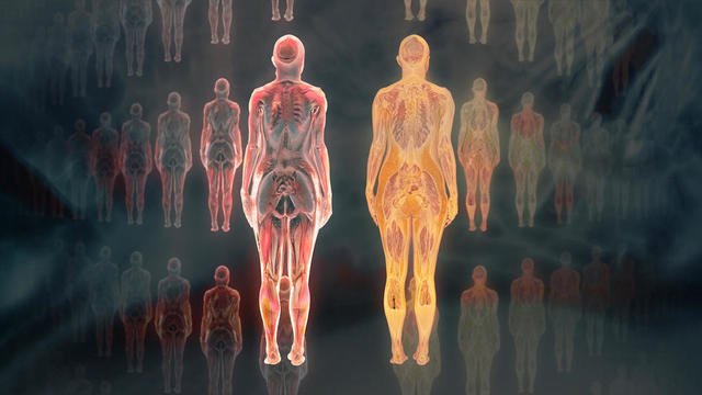 Notre corps, ce réseau social