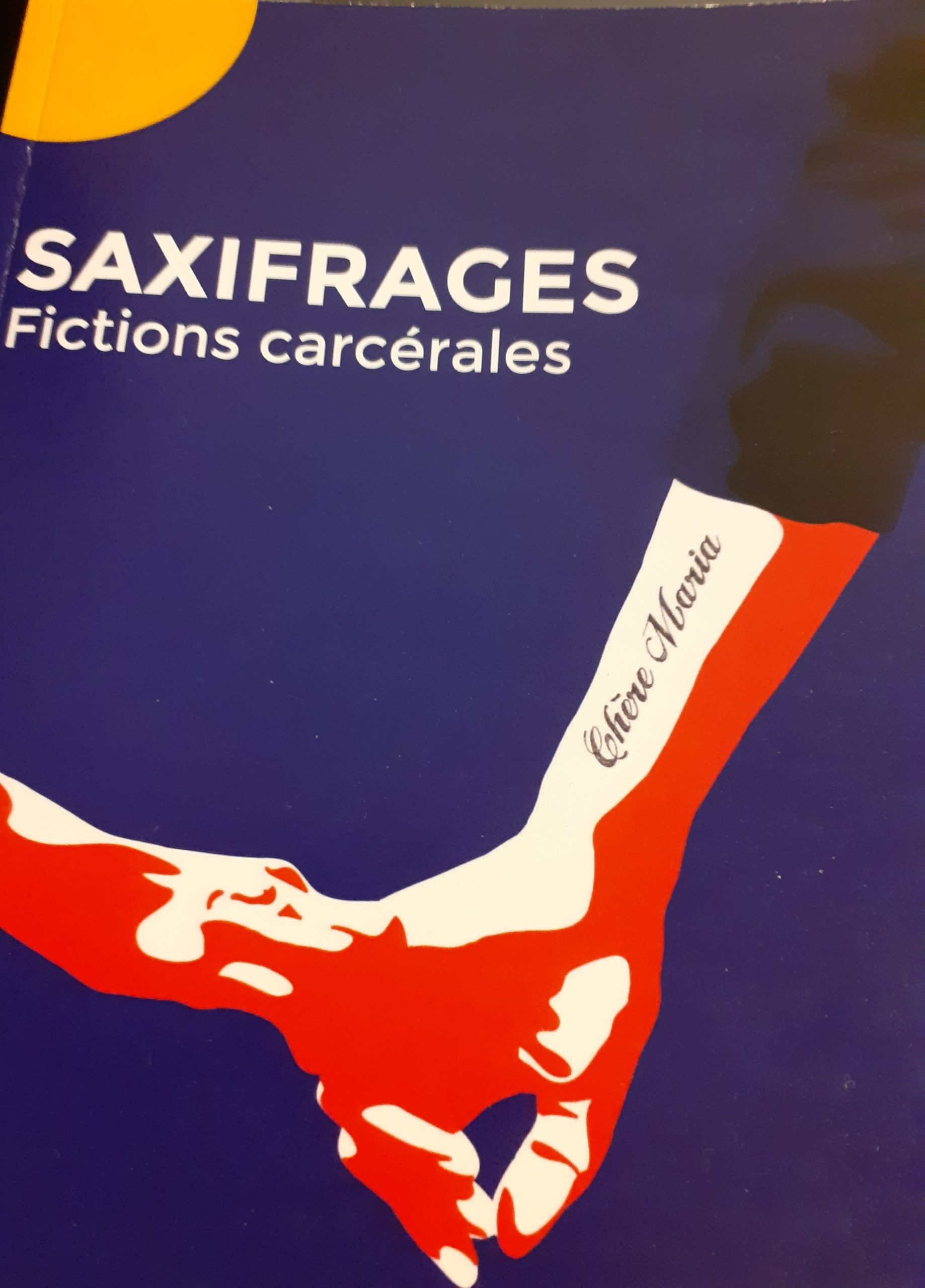 Saxifrages, fictions carcérales