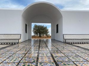 À Zarzis, le jardin d’Afrique