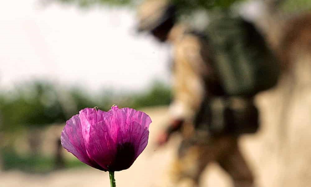 Afghanistan : le rouleau compresseur écrasé par une petite fleur rose