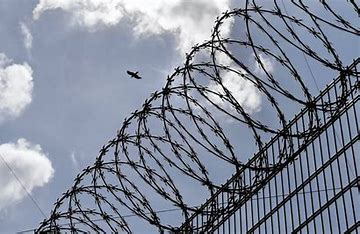En prison après en avoir escaladé le grillage
