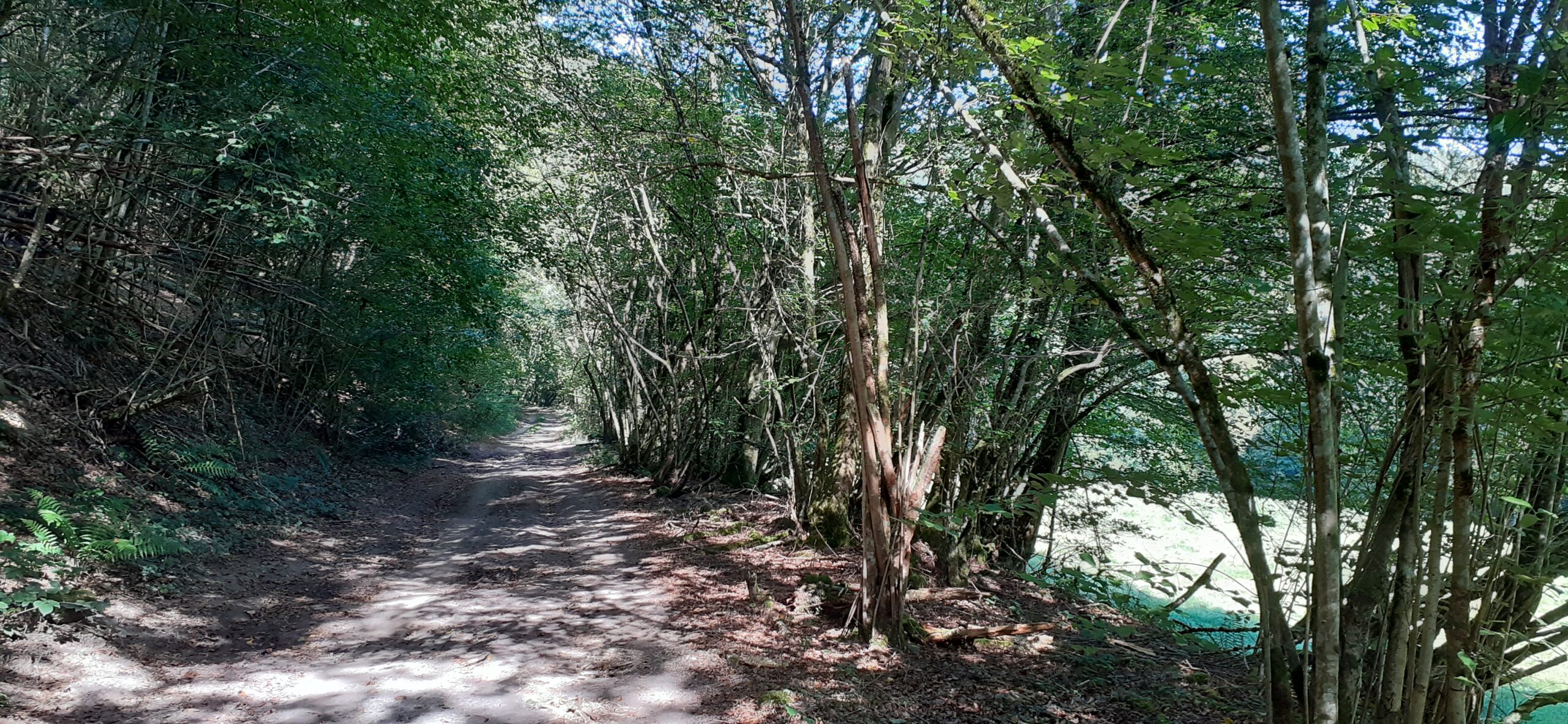 Moselle et Rhin à vélo 3/3