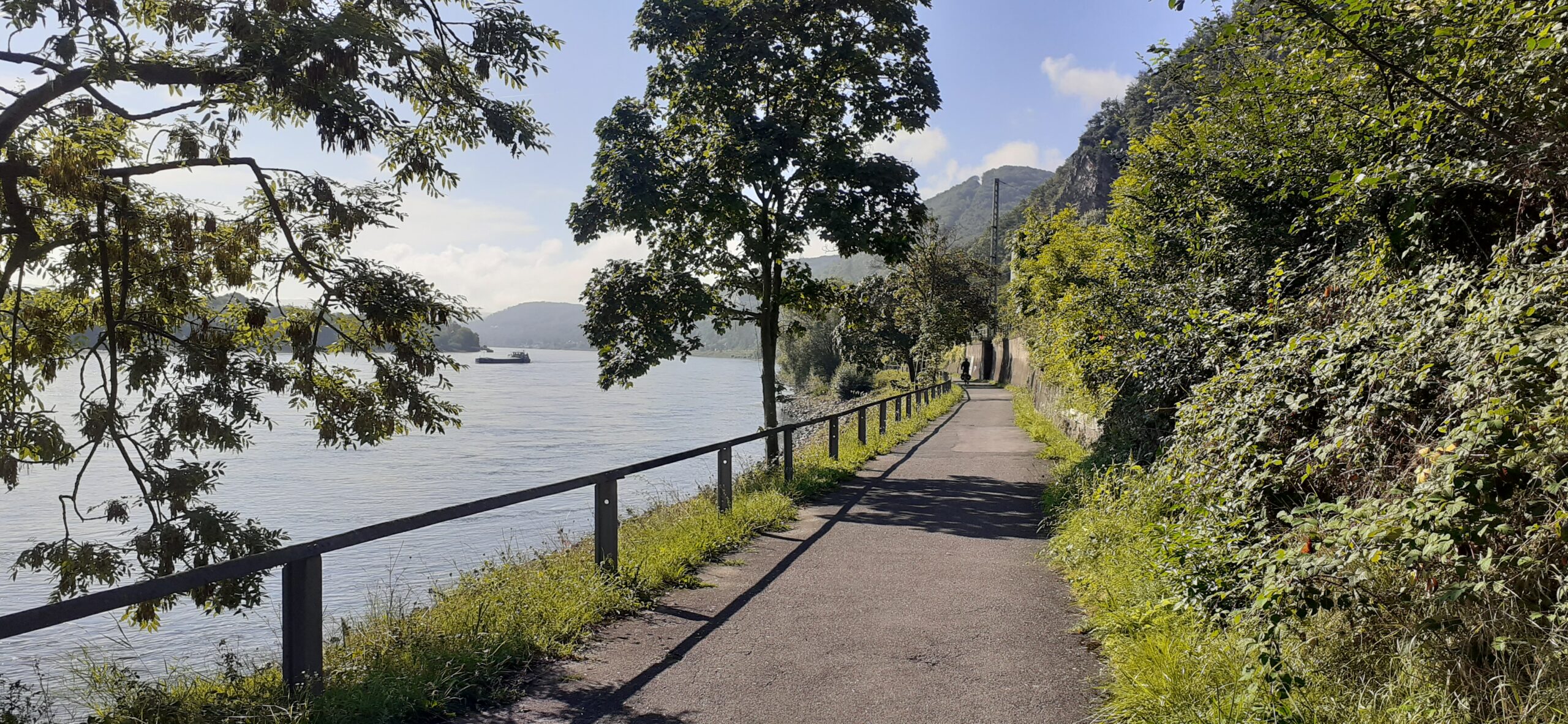 Moselle et Rhin à vélo 2/3