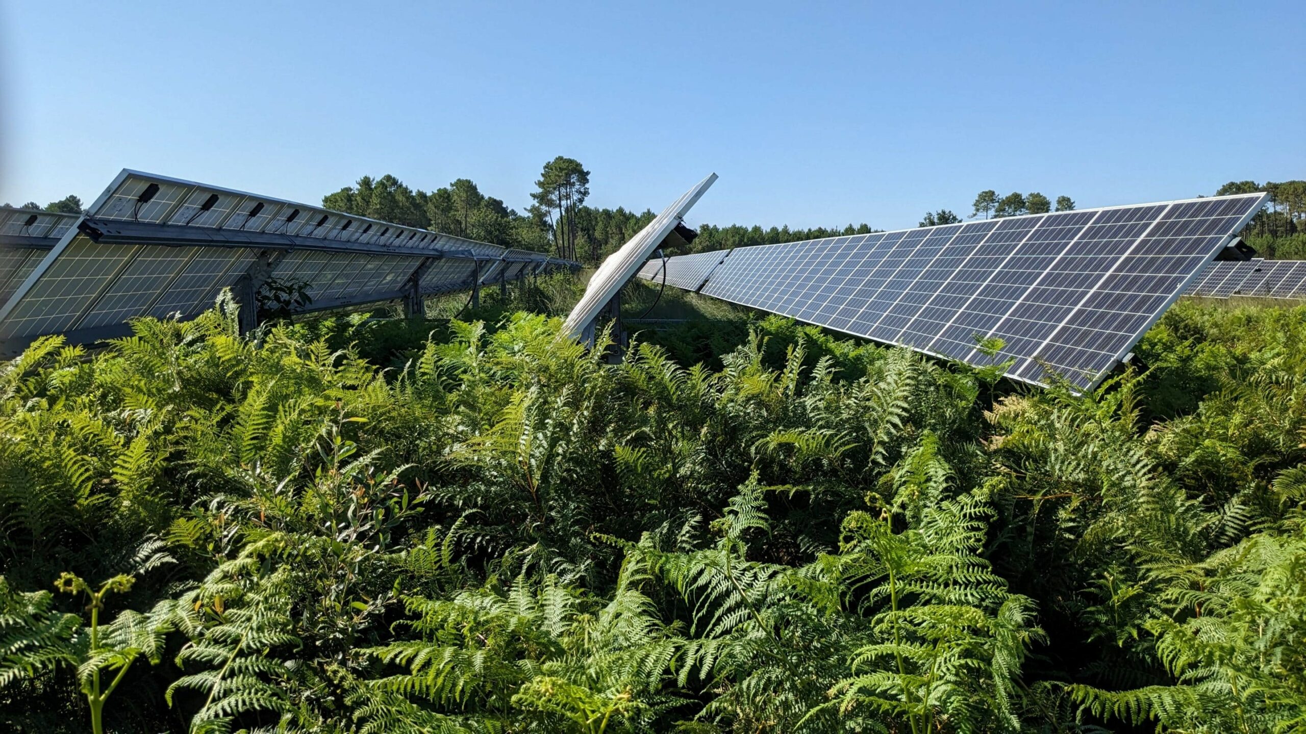 Une centrale photovoltaïque en Gironde