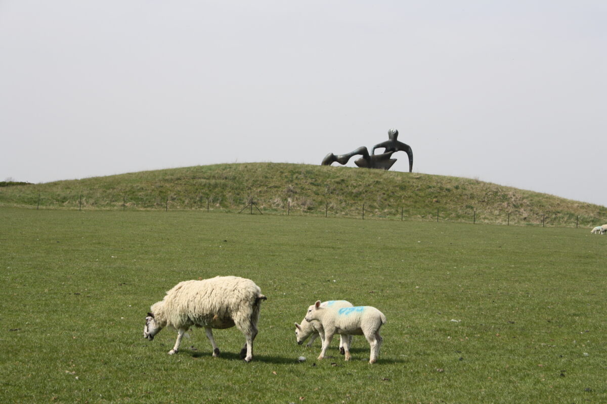 Chronique d’étonnement n°99